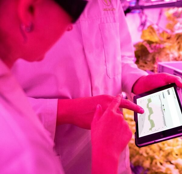 Strengthen Your Growth 3452328205 Digital Tools